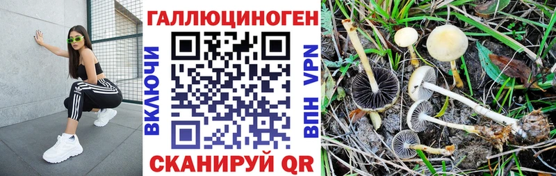 где купить наркоту  Чайковский  Псилоцибиновые грибы ЛСД 