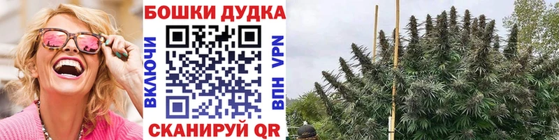 Конопля Amnesia  Чайковский 